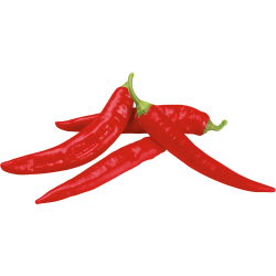Chilli